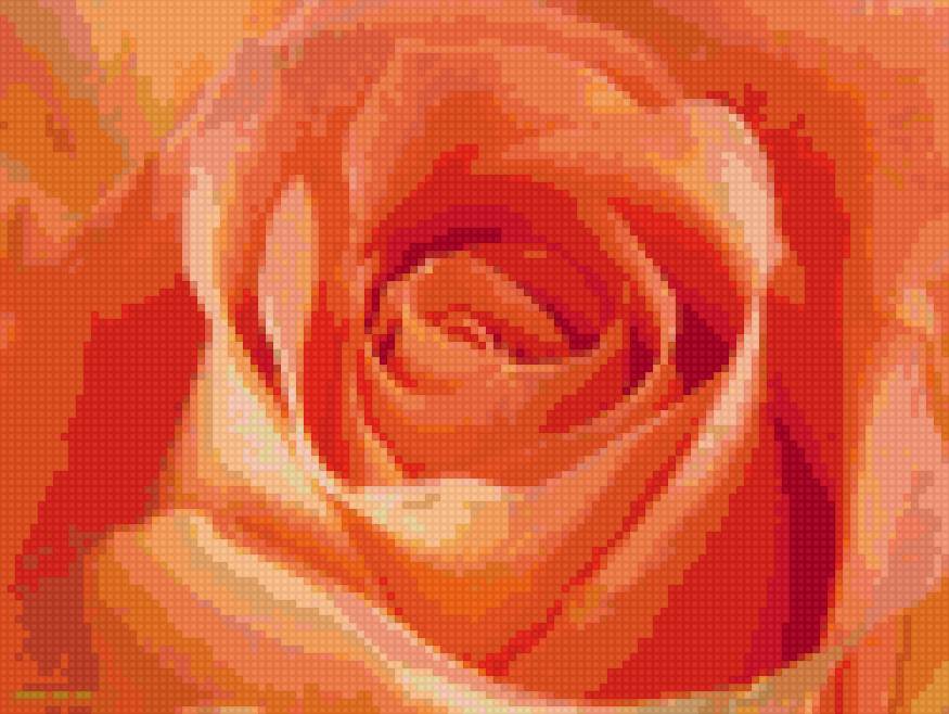 Нежная роза 2 - роэы - предпросмотр