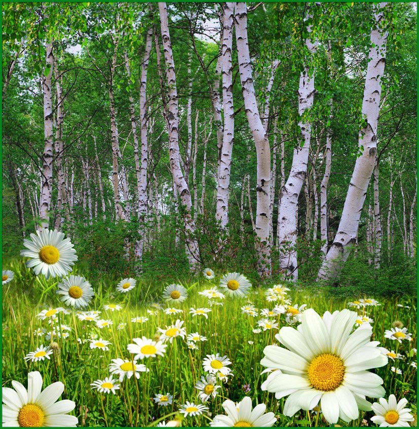 №870338 - оригинал