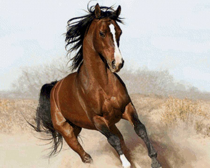 №870342 - предпросмотр