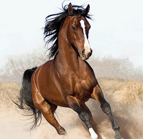 №870374 - оригинал