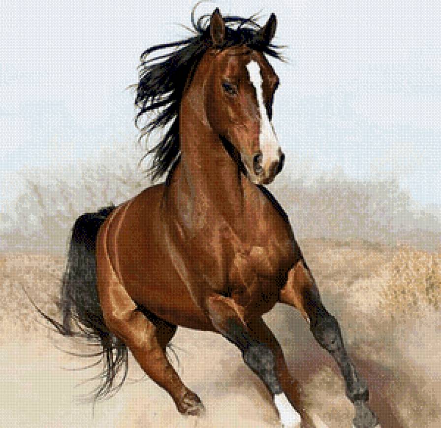 №870374 - предпросмотр