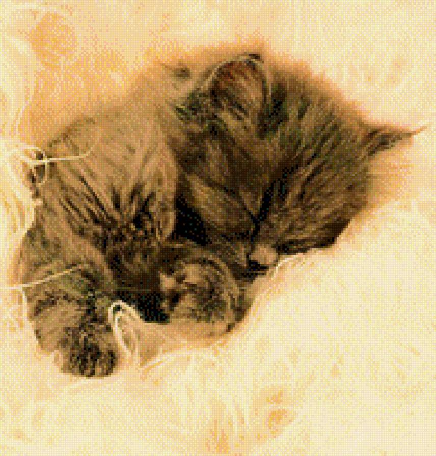 спящий - сепия, котик - предпросмотр