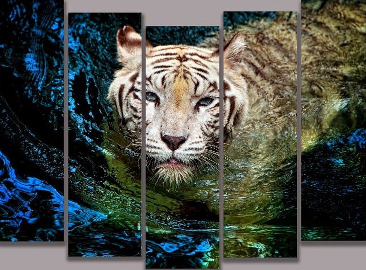 Тигр - природа, животные - оригинал