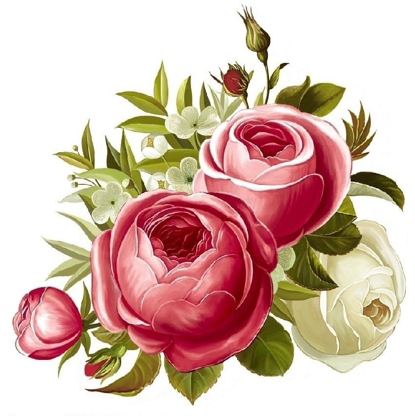 розочки6 - цветы.розы - оригинал