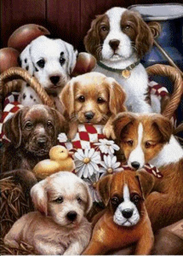 друзья - собаки, друзья, пес, дружба, щенок, щенки - предпросмотр