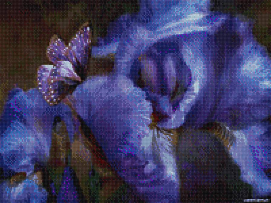 Ирисы - бабочка, ирисы, красиво, цветы - предпросмотр