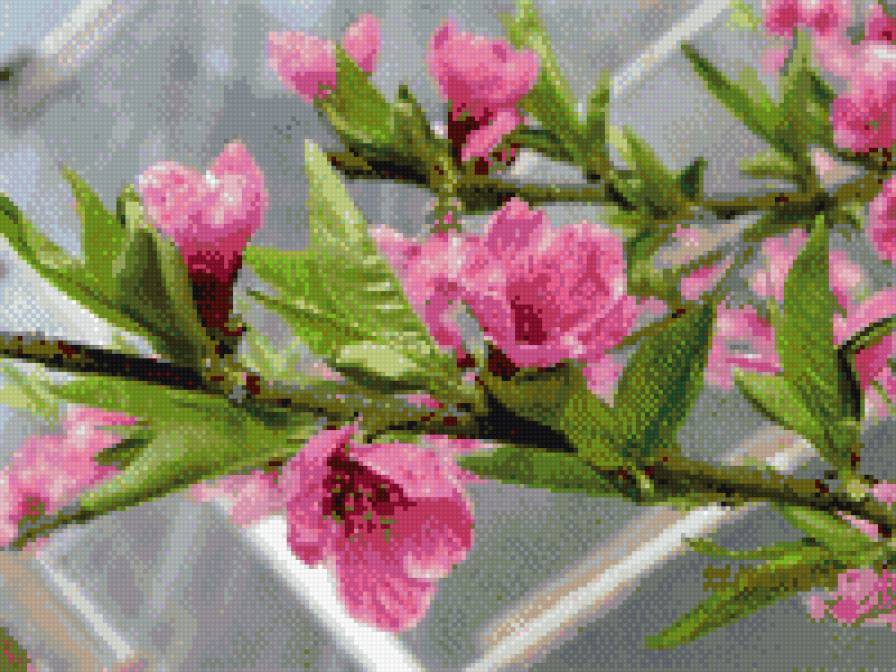 Цветущая весна - весна, тепло, красиво, цветы - предпросмотр