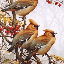 Схема вышивки «Птицы на рябине»