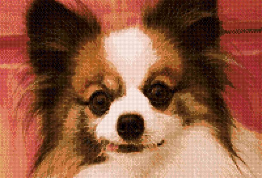 собачка - животные, собака - предпросмотр