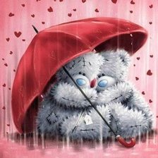 Мишки, дождь, романтик