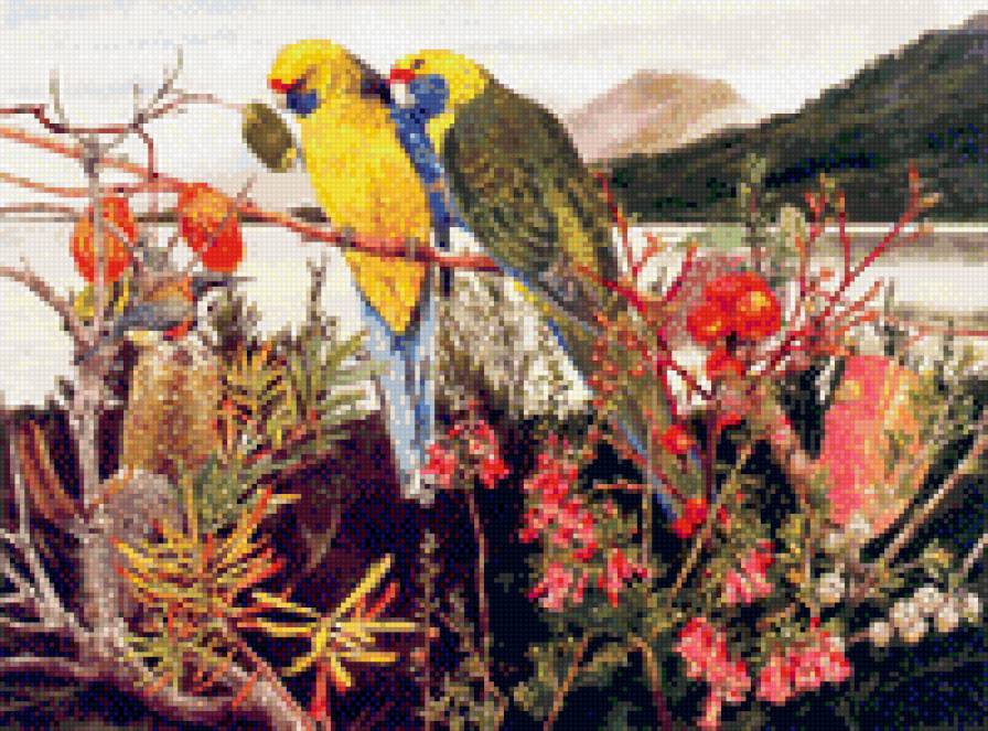 яркая парочка - пара, тропики, пейзаж, попугаи, красота, цветы, птицы - предпросмотр