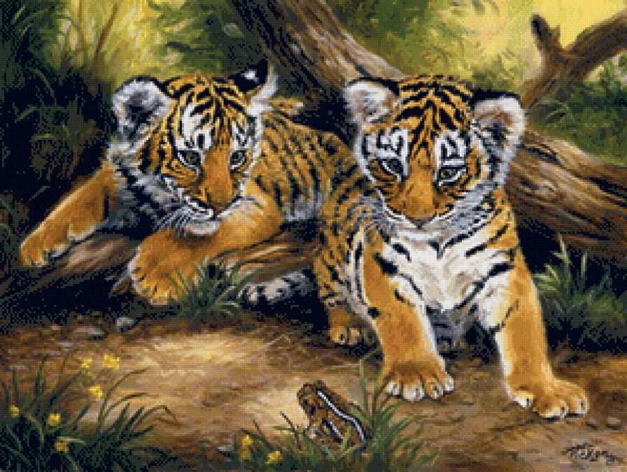 №872188 - тигрята, тигр, животные - предпросмотр
