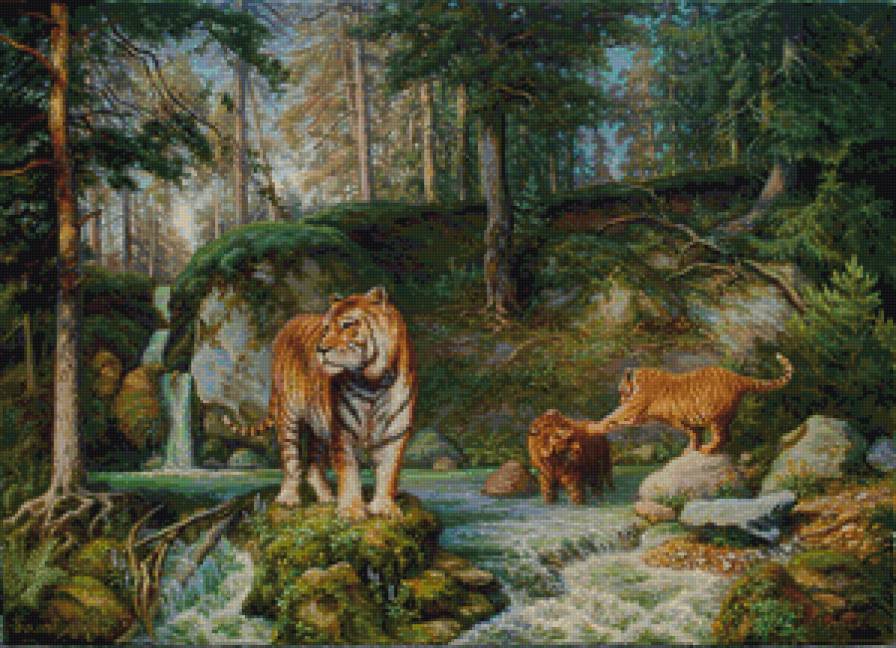№872398 - тигры, лес - предпросмотр