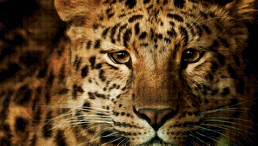 № 53 - животные - предпросмотр