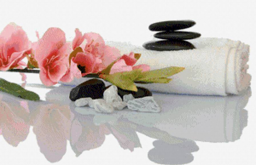 Розы - цветы, розы - предпросмотр