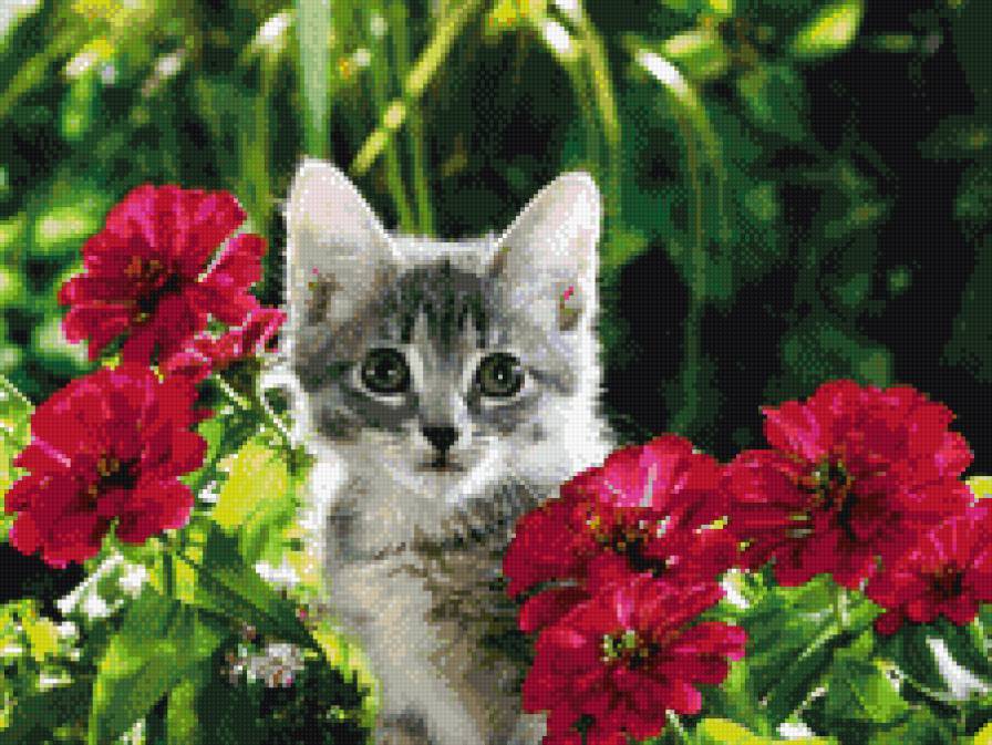 Котенок в цветах - предпросмотр