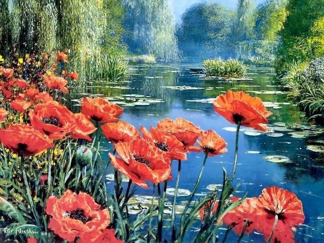 Природа - цветы, пейзаж, река, природа, маки - оригинал