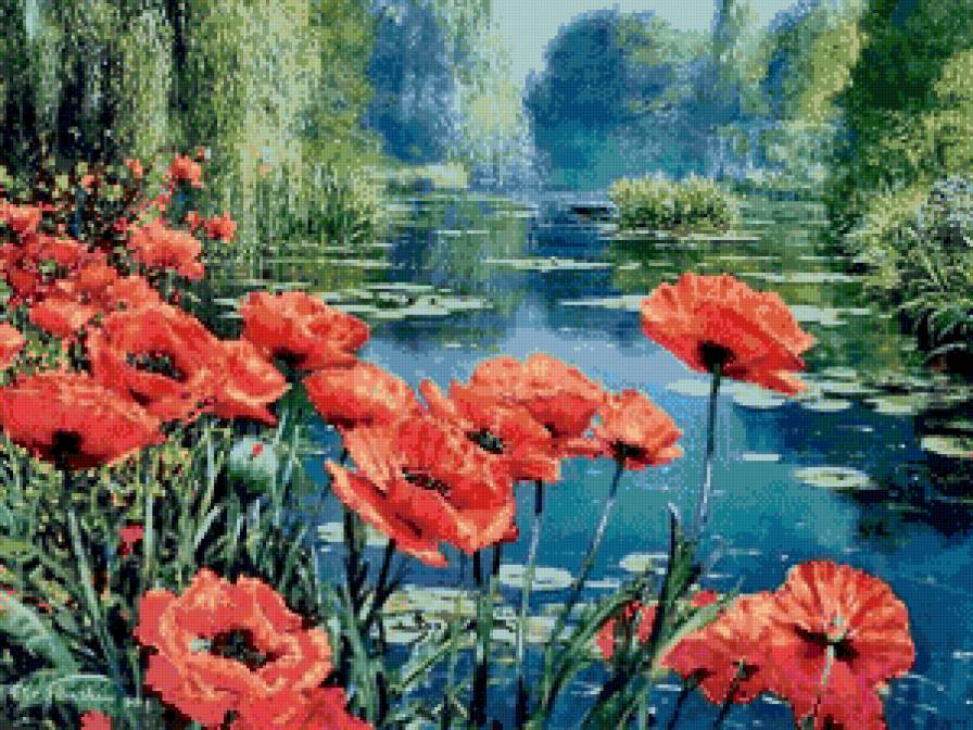 Природа - река, маки, природа, пейзаж, цветы - предпросмотр