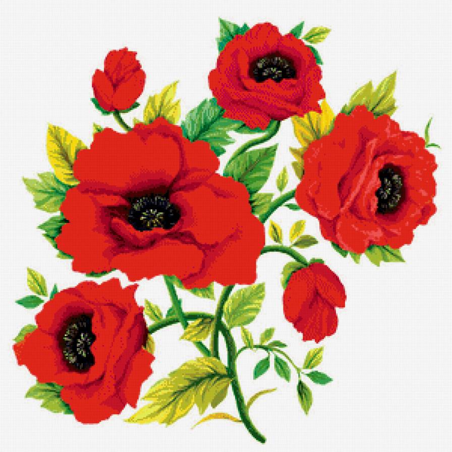 красные маки - предпросмотр