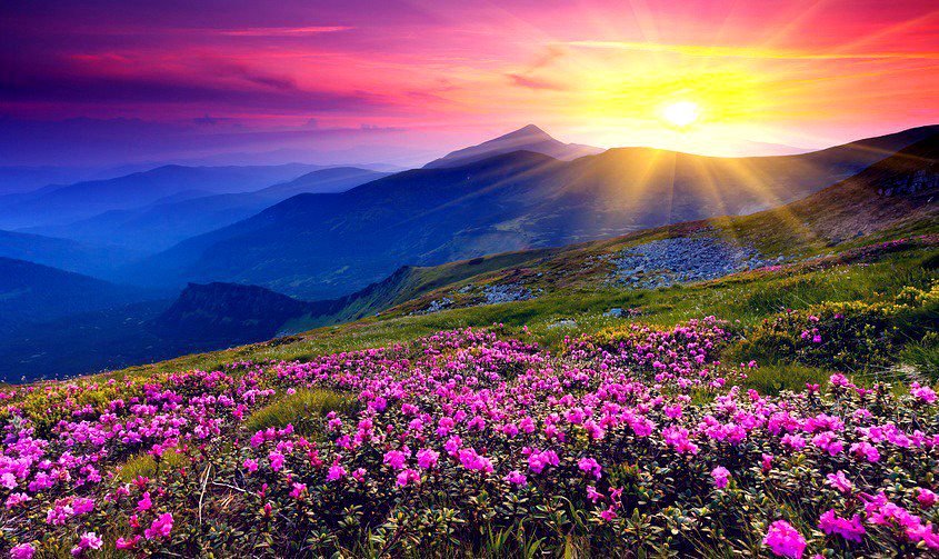 красота - природа - оригинал