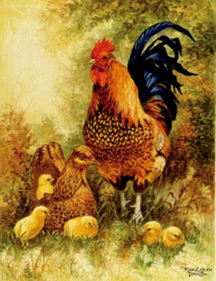 петушок с курочкой и цыплятками - птицы - предпросмотр