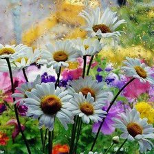 Схема вышивки «Ромашки»