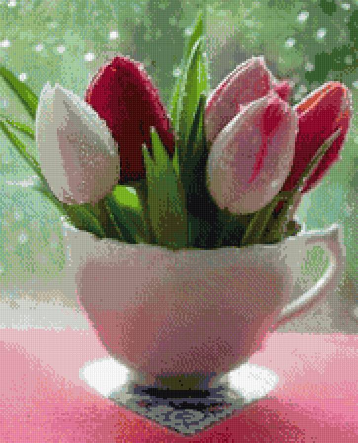 Тюльпаны - тюльпаны - предпросмотр