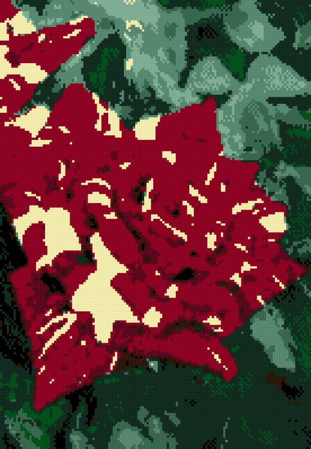 роза - роза, цветок - предпросмотр