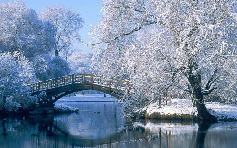 Зимний пейзаж - зима, мостик, снег, пейзаж, деревья в снегу, парк - оригинал