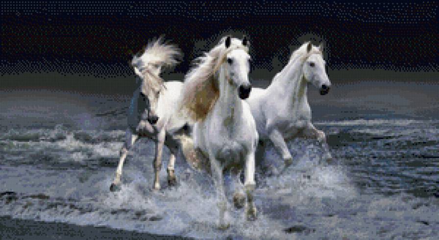 Лошади - животные, кони, лошади - предпросмотр