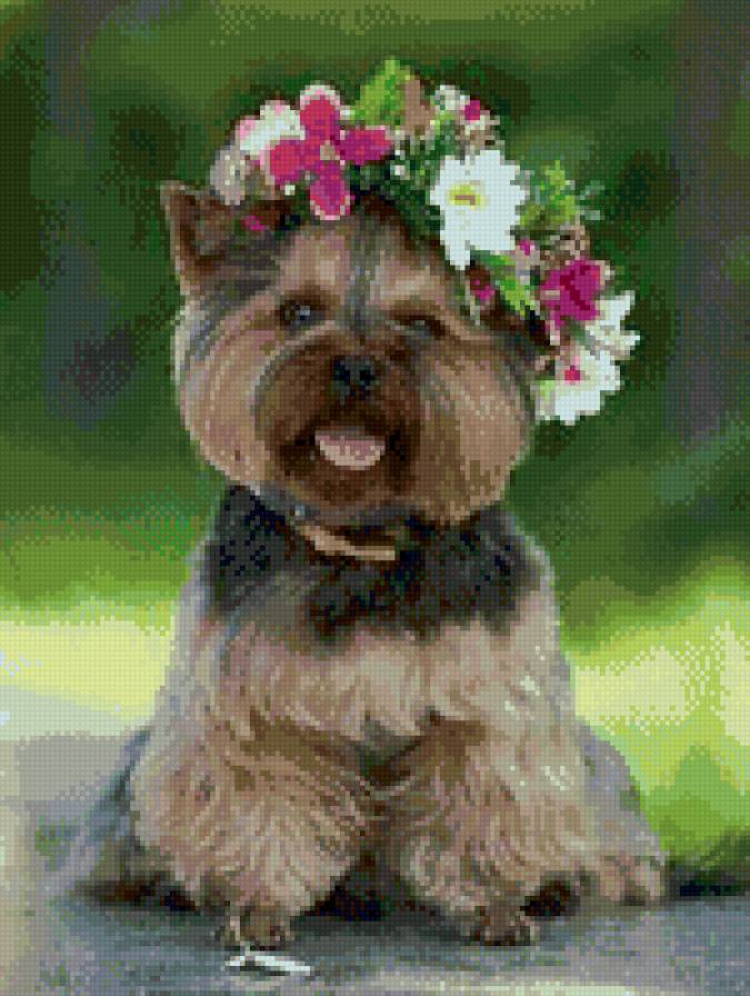 щеночек - весна, собака, животное - предпросмотр