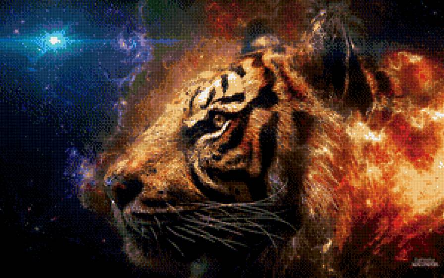 Тигр - тигры, животные - предпросмотр