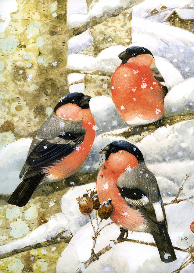 птицы - птицы - оригинал