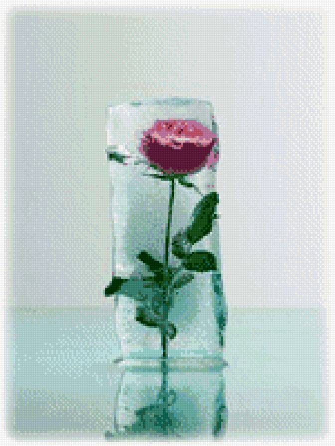 роза - предпросмотр