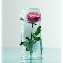 Схема вышивки «роза илед»