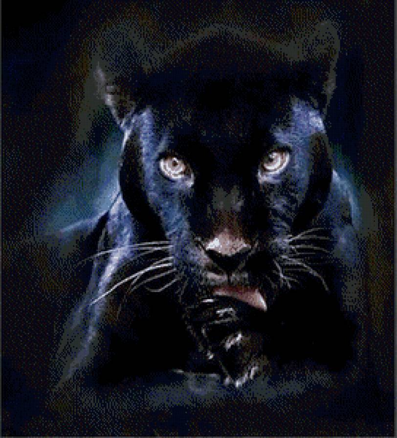 черная красавица - животные, пантера - предпросмотр