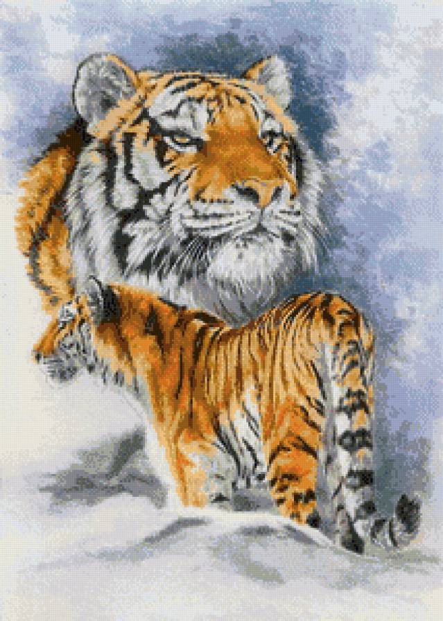 Тигры - животные, тигры - предпросмотр