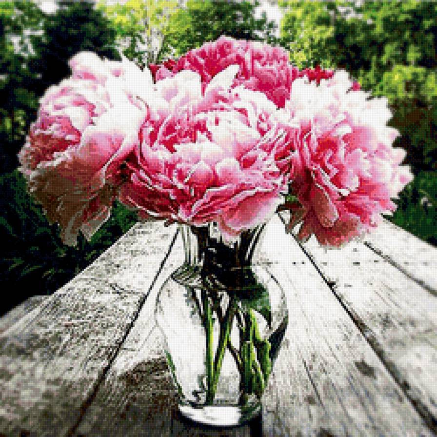 Розовые пионы - цветы, пион, пионы, букет - предпросмотр