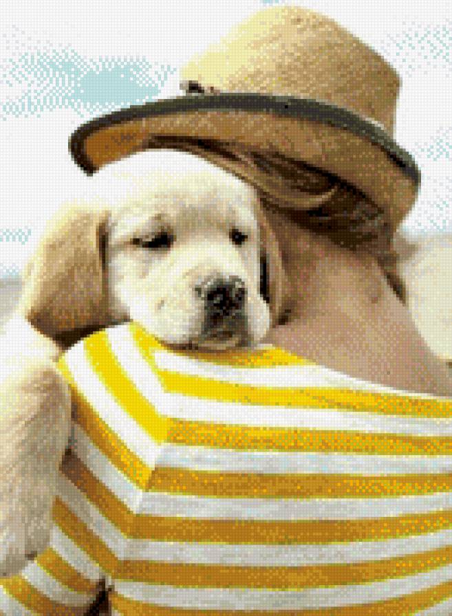 Песик - собака, лето - предпросмотр