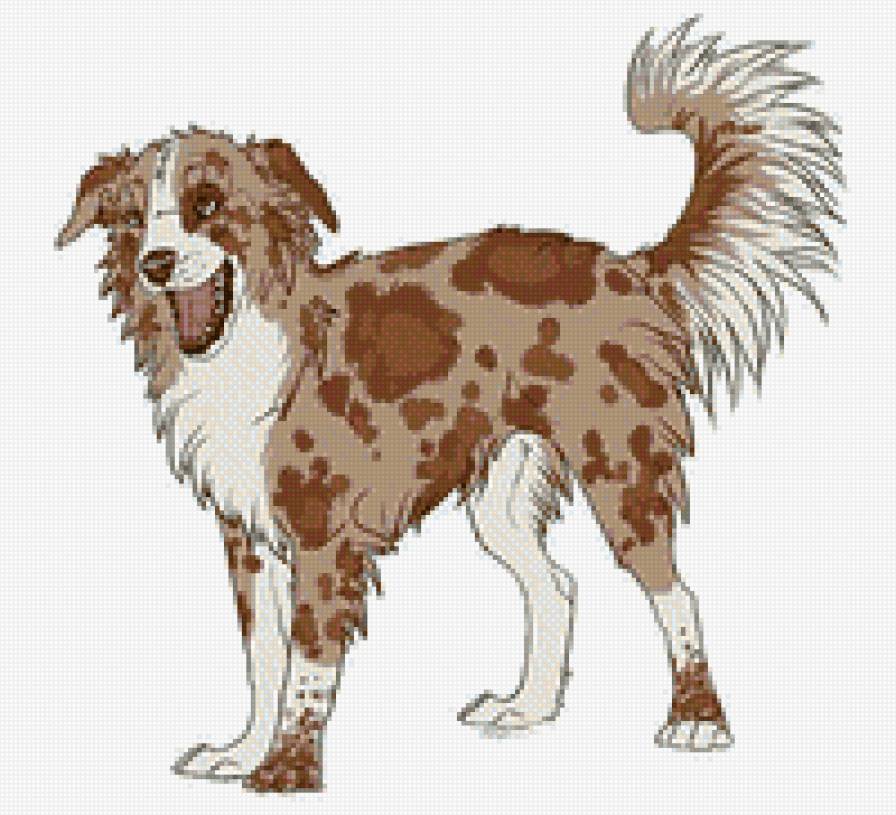 сабака - собака - предпросмотр