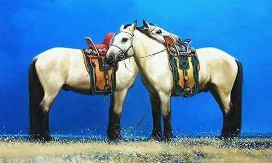 төгс эмэгтэй - оригинал