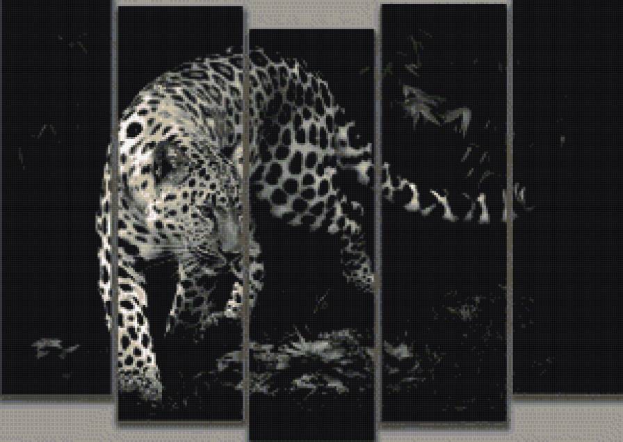 Кисааааа - животные.монохром - предпросмотр