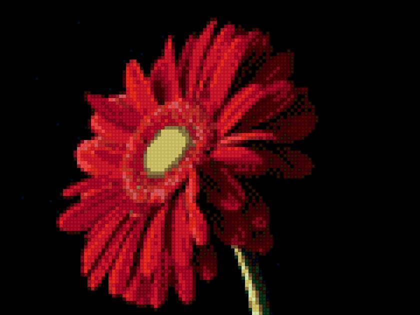 гербера 3 - предпросмотр