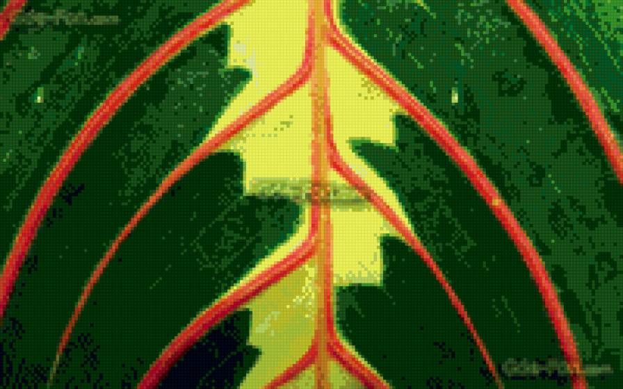 природная серия - природа, осень, листья - предпросмотр