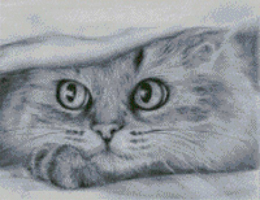 №874748 - предпросмотр