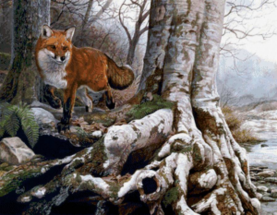 лисица в лесу - лиса, лес, природа, пейзаж, животное - предпросмотр