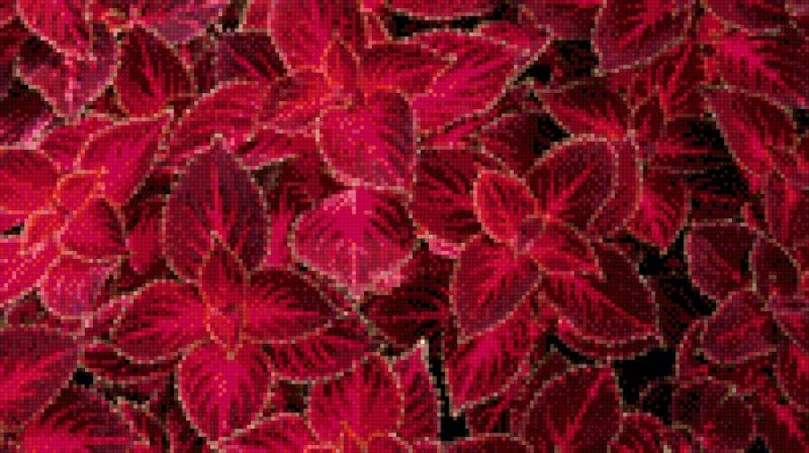 природная серия - листья, природа - предпросмотр