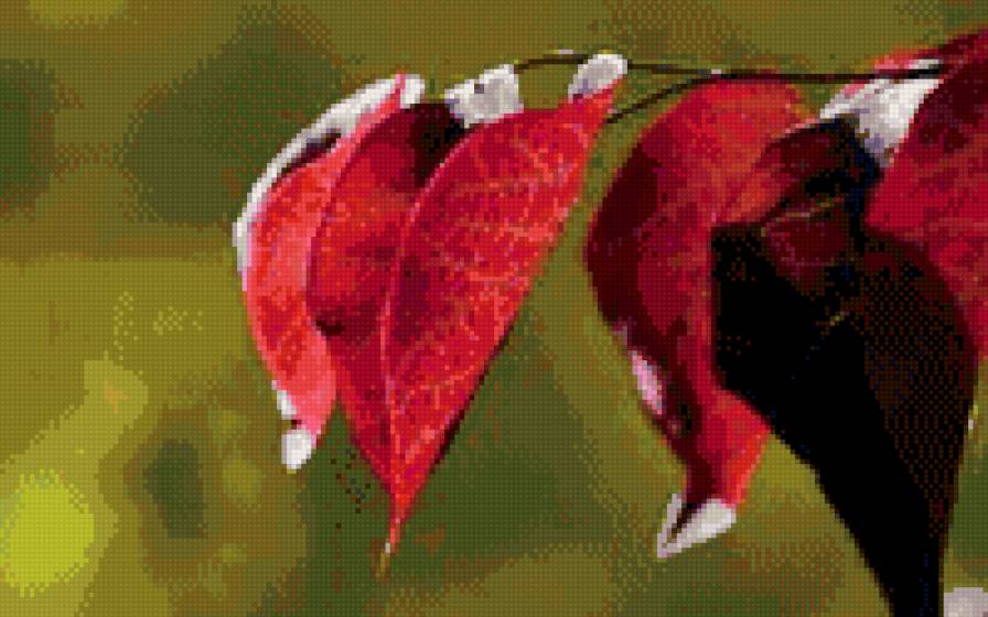 природная серия - листья, осень, природа - предпросмотр
