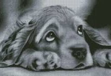 Схема вышивки «№874941»