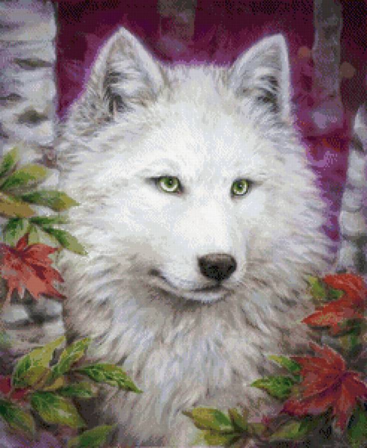 Волк - животные, лес, волки - предпросмотр